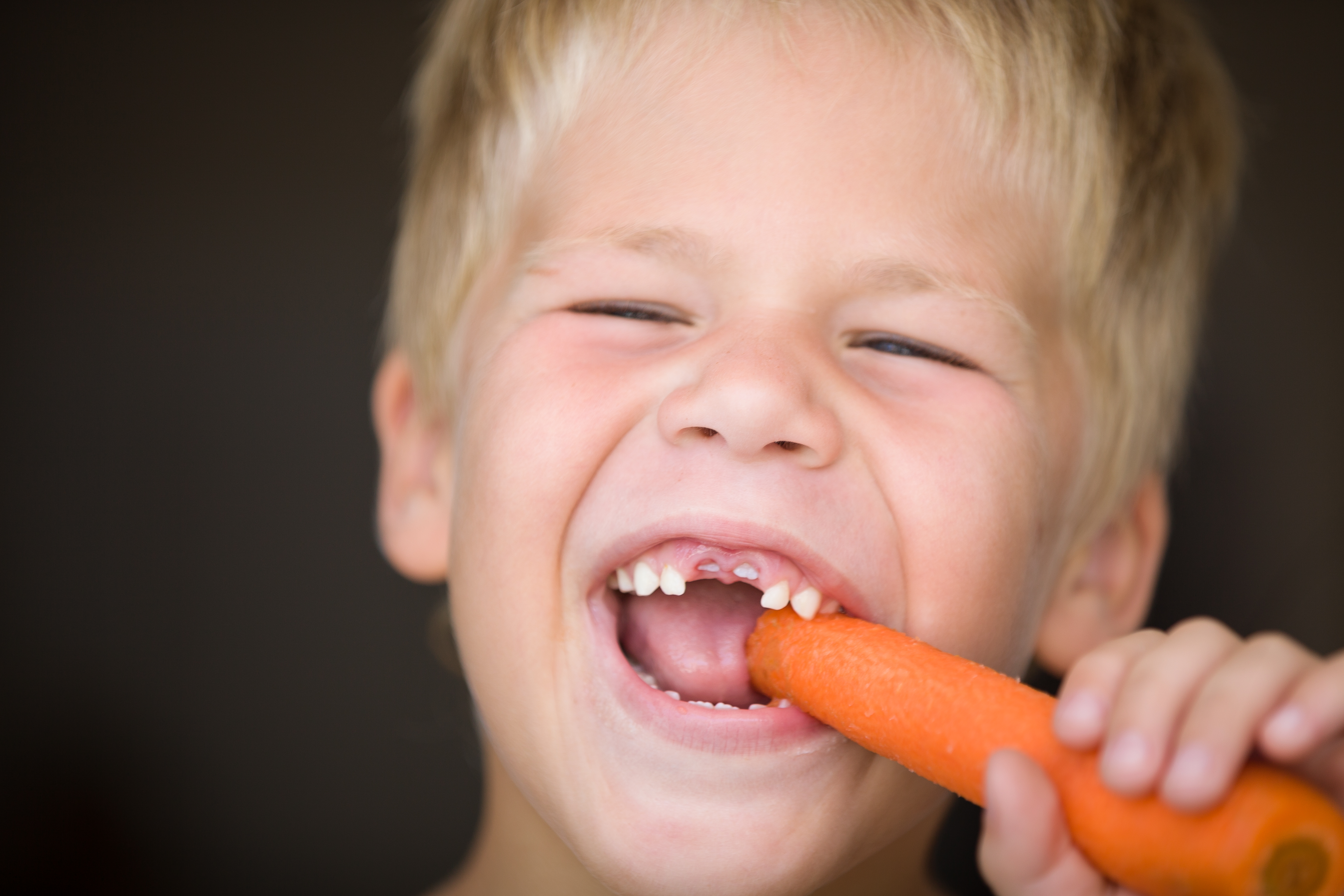 Alimentos saludables